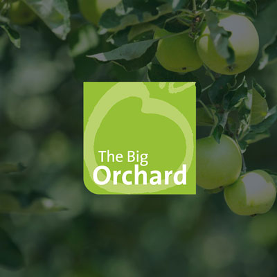 Clickable thumbnail for The Big Orchard web designs